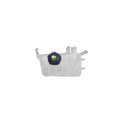 BIRLIK GENLEŞME KAVANOZU KAPAKLI MGN III-FLUENCE 217100005R OEM: 217100005R - BIRLIK 0535 kodlu oto yedek parça