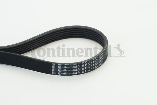 CONTITECH KANALLI V KAYISI 6PK1153 BMW F20 F30 F32 F34 F36 G20 G30 G32 G11 TOYOTA AURIS C-HR DACIA DUSTER CITROEN BERLINGO C4 11288613707 OEM: 11288613707 - CONTI 6PK1153 kodlu oto yedek parça