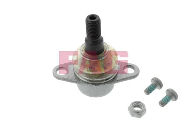 FAG ROTIL ALT ON SOL SAG BMW X5 E53 01 06 31121096425-31126756491 OEM: 31121096425-31126756491 - FAG 825005310 kodlu oto yedek parça