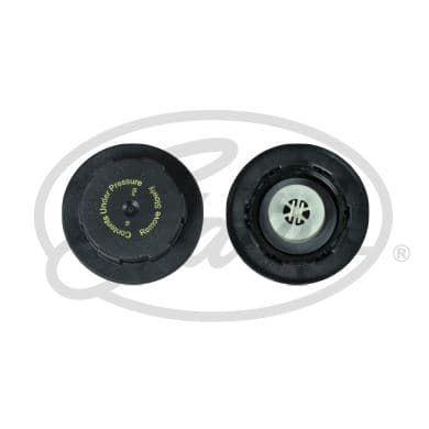 GATES SU DEPOSU KAPAGI DEFENDER L663 DISCOVERY 4 L319 DISCOVERY 5 L462 R.R 4 L405 R.R SPORT 2 L494 R.R VELAR L560 JAGUAR S-TYPE II X200 F-PACE X761 XE X760 XF I X250 XF II X260 XJ X350-X358 XJ C2P17700-LR017427-XR850837 OEM: C2P17700-LR017427-XR850837 - GATES RC250 kodlu oto yedek parça