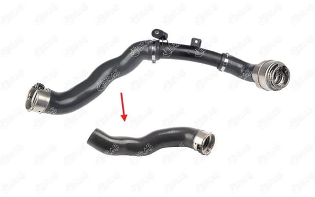 IBRAS TURBO HORTUMU PLASTİK BORU HARİÇ OK İLE GÖSTERİLEN BÜYÜK HORTUM DACIA DOKKER MPV KE 1.3 TCe 130 KENE 19 144607725R OEM: 144607725R - IBRAS 11017 kodlu oto yedek parça