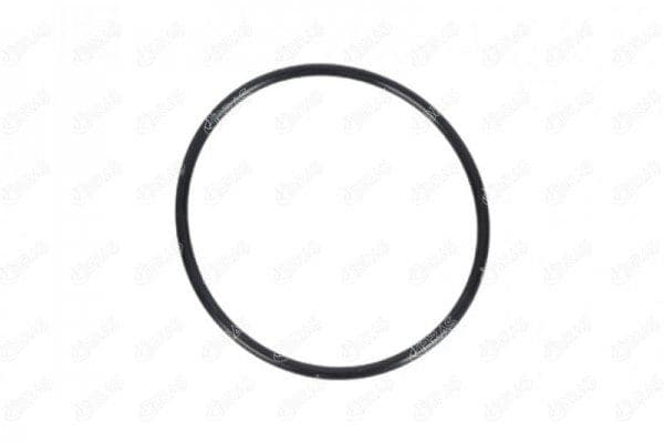 IBRAS YAKIT POMPA CONTASI VECTRA B 1.6-1.8-2.0 96-02 1254286-90411085 OEM: 1254286-90411085 - IBRAS 21625 kodlu oto yedek parça