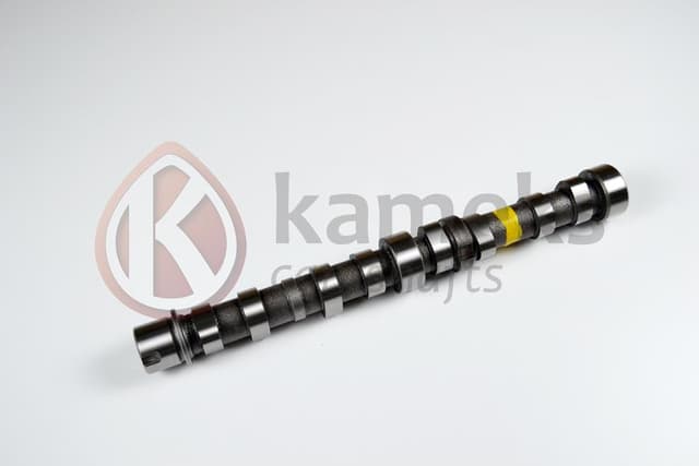 KAMEKS EKSANTRİK MİLİ EGZOZ BIPPER 10 NEMO 10 DOBLO 10 EGEA 16 PUNTO 12 500 L 12 95BG 1.3 JTD EURO5 DOKUM 55206898 OEM: 55206898 - KAMEKS 10413 kodlu oto yedek parça