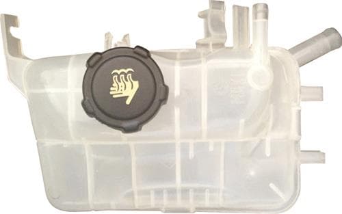 KAYA GENLEŞME KAVANOZU KAPAKLI MGN III-FLUENCE 217100005R OEM: 217100005R - KAYA KR566 kodlu oto yedek parça