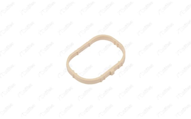 NIFEA EMME MANİFOLD CONTASI RENAULT MEGANE-CLIO-LAGUNA DACIA LOGAN 1.4-1.6 16V K4J-K4M OEM: 8200275057 - NIFEA 11631 kodlu oto yedek parça