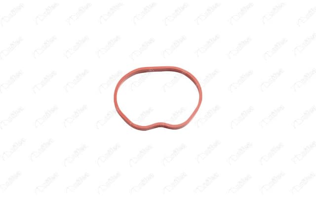 NIFEA EMME MANIFOLD TAKIM CONTA SILIKON FOCUS II 1.6 16V BENZINLI 07 OEM: 2S6G9441CA-1142502 - NIFEA 19779 kodlu oto yedek parça