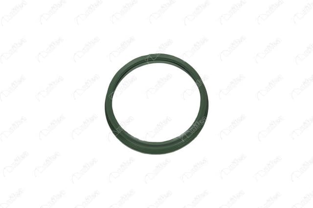 NIFEA DEPO ŞAMANDIRA CONTASI VW BEETLE-GOLF IV-GOLF V-JETTA-PASSAT-SCIROCCO-TOUREG 03-13 OEM: 1J0919133B - NIFEA 27222 kodlu oto yedek parça