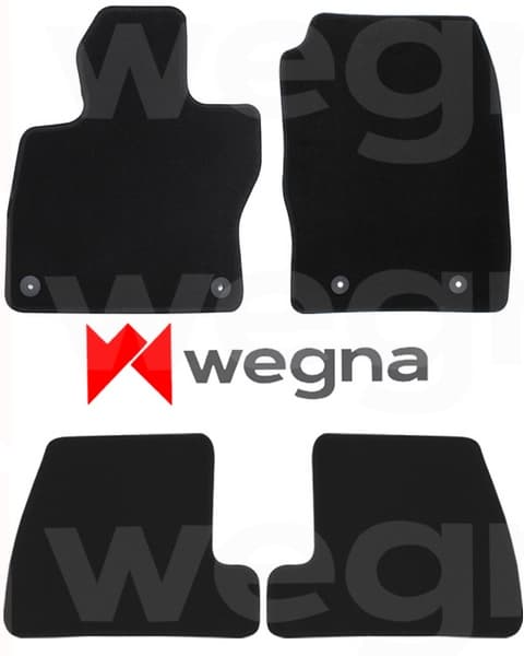 WEGNA HALI PASPAS SİYAH FORD FOCUS 4 2018 > OEM: PASPAS - WEGNA MAT057 kodlu oto yedek parça