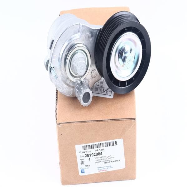 GM ALTERNATOR GERGI RULMANI KOMPLE KÜTÜKLÜ A2.2 DM CAPTIVA ANTARA OEM: 25192084-25182787-4820865-4802241 - GM 25192084 kodlu oto yedek parça