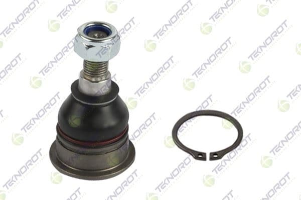 TEKNOROT ROTİL ALT SAĞ-SOL NISSAN MAXIMA 2.0L VQ20DE DOHC A32 94-00 4016031U00-4016041U00 OEM: 4016031U00-4016041U00 - TEKNOROT N-535 kodlu oto yedek parça