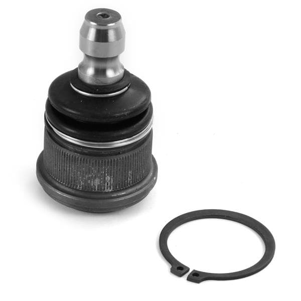 AYD ROTİL ALT KİTSİZ 626 II GC 1982-1987 OEM: 0G03034550B-G03099356-GE4T34300E - AYD 01296 kodlu oto yedek parça