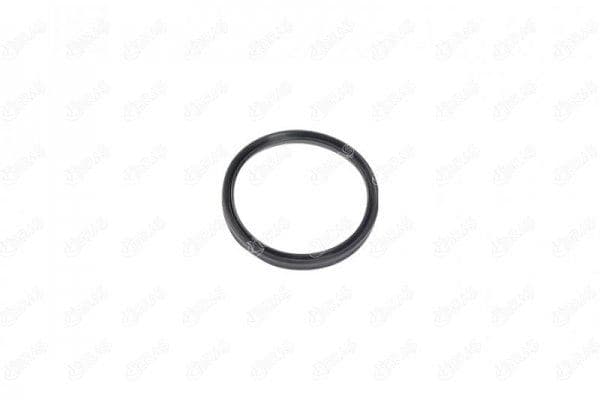 IBRAS TURBO BORUSU CONTASI NISSAN NV400 DCI 180 20 1655800Q0F OEM: 1655800Q0F - IBRAS 12796 kodlu oto yedek parça