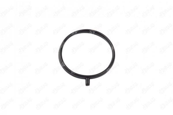 IBRAS TURBO BORUSU CONTASI NISSAN NV400 2.3 1655800Q0C OEM: 1655800Q0C - IBRAS 12797 kodlu oto yedek parça