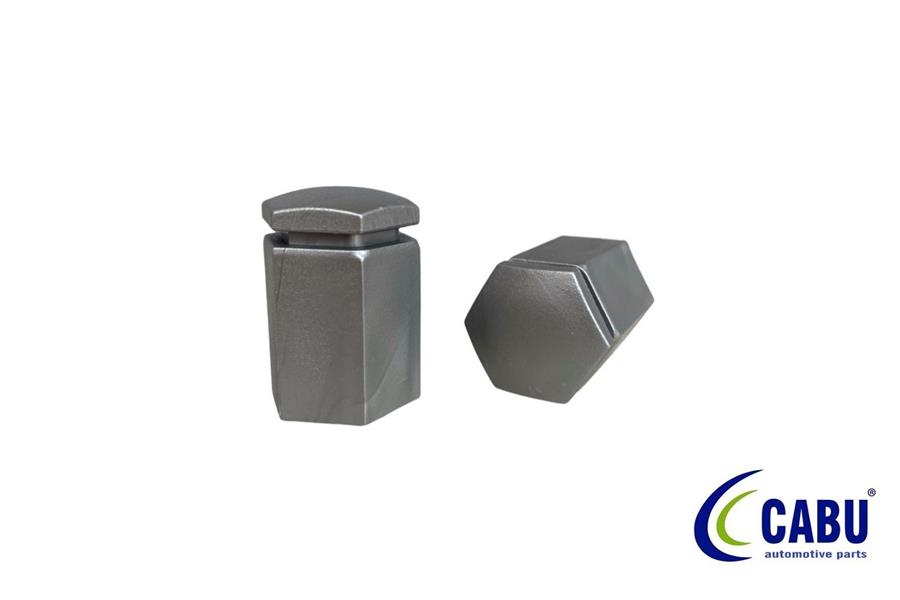 CABU BİJON KAPAĞI METALİK GRİ 17X32mm ASTRA F-G-H. CORSA B-C-D. VECTRA A-B.ZAFIRA B.OMEGA B 90447274-1008212 OEM: 90447274-1008212 - CABU 220657 kodlu oto yedek parça görseli