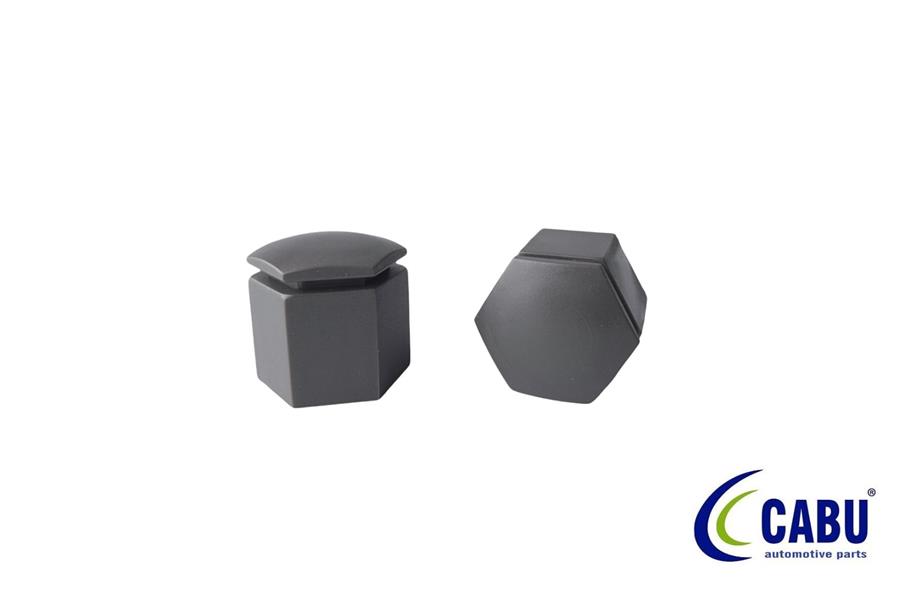 CABU BİJON KAPAĞI KÖMÜR METALİK 22X27mm ASTRA F-G-H. CORSA B-C-D. VECTRA A-B.ZAFIRA B.OMEGA B 13282996-6008961 OEM: 13282996-6008961 - CABU 220663 kodlu oto yedek parça görseli