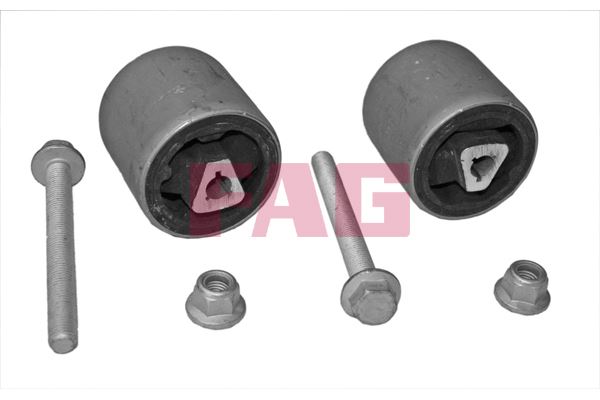 FAG SALINCAK BURCU ON TAKIM BMW E60 04 10 31120305612 OEM: 31120305612 - FAG 829032510 kodlu oto yedek parça görseli