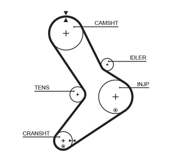 GATES TRİGER KAYIŞI 152x300 MOVANO-MASTR 2.5D 152 DİŞ GD152H95P300 CT1038 7701043483-4401429-0816.E5 OEM: 7701043483-4401429-0816.E5 - GATES 5334XS kodlu oto yedek parça görseli