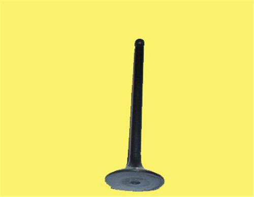 GUNES SUBAP EMME EGZOZ DUCATO 2.3 MTJ 16V IN-8/EX-8 504069199-500362856 OEM: 504069199-500362856 - GUNES 2474-2475 kodlu oto yedek parça görseli