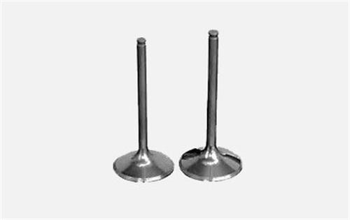 GUNES SUBAP EMME EGZOZ MASTER-MOVANO 2.5DCI-LGN 2.2 G9U 16V IN-8/EX-8 7701472669-7701472670-4506083 OEM: 7701472669-7701472670-4506083 - GUNES 3996-3997 kodlu oto yedek parça görseli