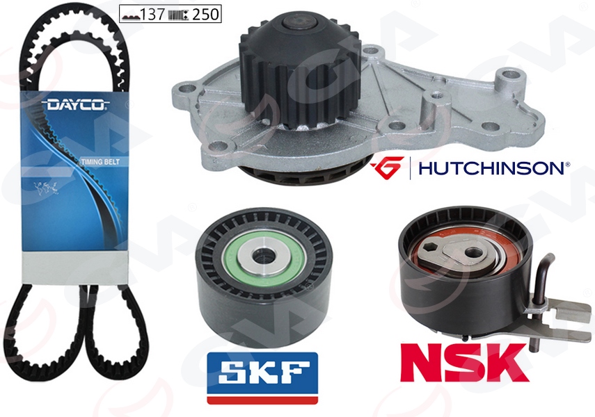 GVA DEVİRDAİMLİ TRİGER SETİ 137x254 P206-P207-P307-P308-P407-P3008-EXPERT-PARTNER-BERLINGO-JUMPY-C2-C3 -C4-C5-XSARA-FOCUS II-FIESTA V-VI VOLVO S40-C30-V50-FIAT SCUDO EURO4 1.6 HDI-TDCİ OEM: 1684448080-3M5Q8B596AB-9467565880 - GVA 59WPK4315-1 kodlu oto yedek parça görseli