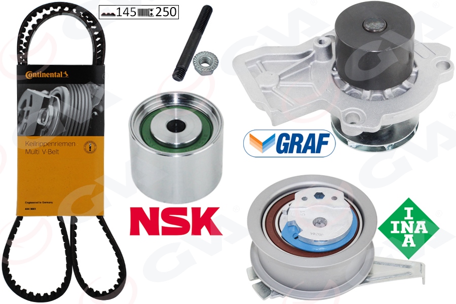 GVA DEVİRDAİMLİ EKSANTRİK GERGİ KİTİ POLO-FABIA 14 IBIZA IV 15 A1 14 CUSA-CUSB-CYZA-CYZB 04L109119D-04B109244B-04L109243G OEM: 04L109119D-04B109244B-04L109243G - GVA 59WPK7505C kodlu oto yedek parça görseli