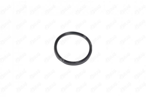 IBRAS TURBO BORUSU CONTASI NISSAN NV400 DCI 180 20 1655800Q0F OEM: 1655800Q0F - IBRAS 12796 kodlu oto yedek parça görseli