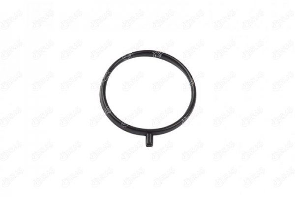 IBRAS TURBO BORUSU CONTASI NISSAN NV400 2.3 1655800Q0C OEM: 1655800Q0C - IBRAS 12797 kodlu oto yedek parça görseli