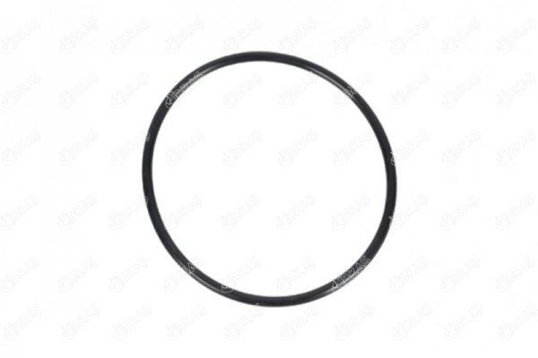 IBRAS YAKIT POMPA CONTASI VECTRA B 1.6-1.8-2.0 96-02 1254286-90411085 OEM: 1254286-90411085 - IBRAS 21625 kodlu oto yedek parça görseli