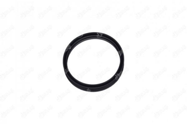 IBRAS DEPO ŞAMANDIRA CONTASI CADDY-BORA-GOLF IV-V-VI-LT35-PASSAT-POLO-TRANSPORTER T4-T5-T6-A2-A3-A4-A6 1J0919133 OEM: 1J0919133 - IBRAS 27217 kodlu oto yedek parça görseli