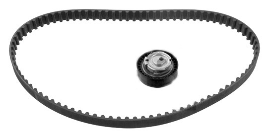 MY EKSANTRİK GERGİ KİTİ 096x173 DACIA LOGAN 04 SANDERO 08 DOKKER 13 1.4 K7J 1.6 K7M 130C17480R OEM: 130C17480R - MY 130C17480R kodlu oto yedek parça görseli