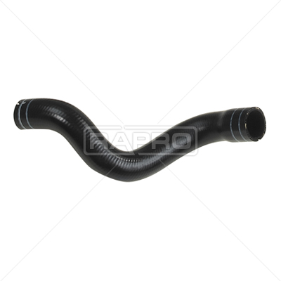 RAPRO RADYATÖR ALT HORTUMU FIAT LINEA 1.3 MJT 51805813 OEM: 51805813 - RAPRO R11395 kodlu oto yedek parça görseli