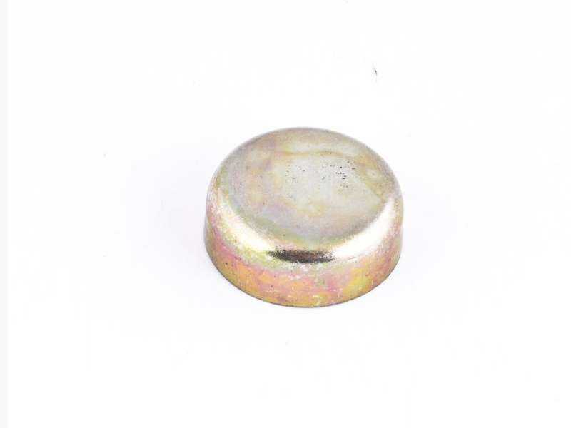 SES MOTOR BLOK SU TAPASI 22 MM. R9 - SES 709744SM kodlu oto yedek parça görseli