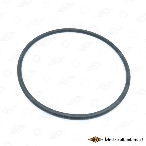 SKT ŞANZUMAN ARKA KAPK KEÇESİ R9-R11 1.4-1.7-R19 1.8-1.9D-R21 1.7-CLIO SYM 1.4 -MGN 1.6-2.0 154x6.25 8200117602-7704002415-6001543158 OEM: 8200117602-7704002415-6001543158 - SKT 4H-887-50 kodlu oto yedek parça görseli