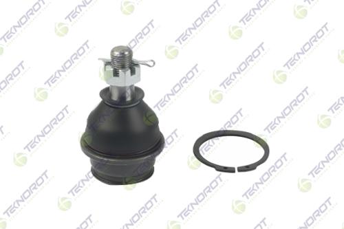 TEKNOROT ROTİL ALT SAĞ-SOL TOYOTA HILUX VIGO 2.5L 2KDFTV KUN15 KUN25 VIGO 4X2 4X4 05- -HILUX REVO 2.4L 2GDFTV GUN125 GUN135 4X2 4X4 15- 4333009510-4333039490-4333009295 OEM: 4333009510-4333039490-4333009295 - TEKNOROT T-254 kodlu oto yedek parça görseli