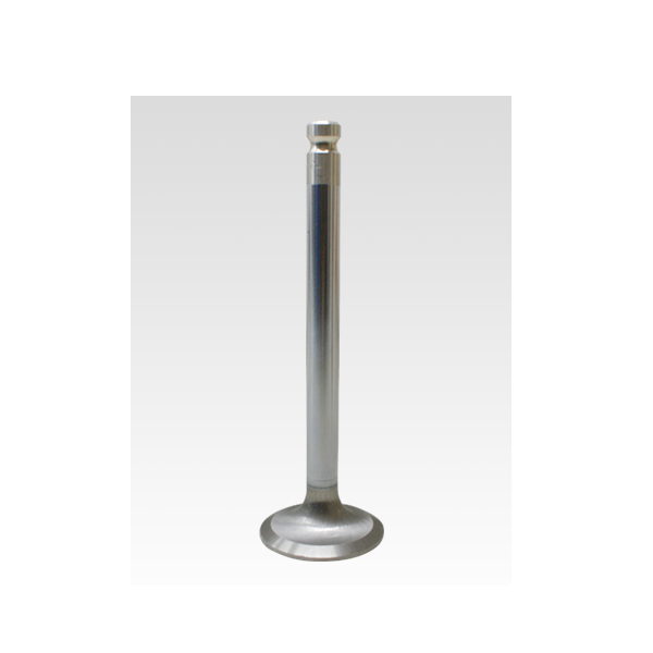 TETIK SUBAP EMME EGZOZ MONDEO 1.6İ-FIESTA 1.6İ-ESCORT 1.6İ 16V Tek Tırnak IN-8/EX-8 928M6507C1A-C2A-948M6505A2A OEM: 928M6507C1A-C2A-948M6505A2A - TETIK FOR-132 kodlu oto yedek parça görseli