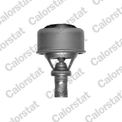 VERNET TERMOSTAT R12 75C V1324 7700610899-7701348375 OEM: 7700610899-7701348375 - VERNET TH4495.75 kodlu oto yedek parça görseli